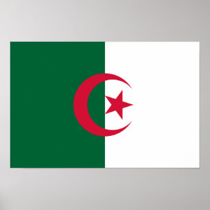 Patriotiska algeriska flaggan poster