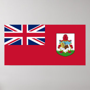 Patriotiska Bermudaförbundet flagga Poster