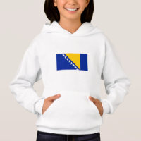 Patriotiska Bosnien Hercegovina Flagga