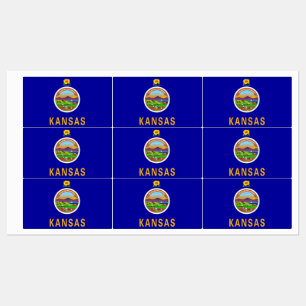 Patriotiska etiketter med den statliga flagga av