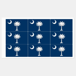 Patriotiska etiketter med flagga av South Carolina