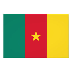 Patriotiska Kamerun Flagga Fototryck