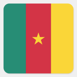 Patriotiska Kamerun Flagga Fyrkantigt Klistermärke