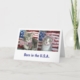 Patriotiska kattungar kort