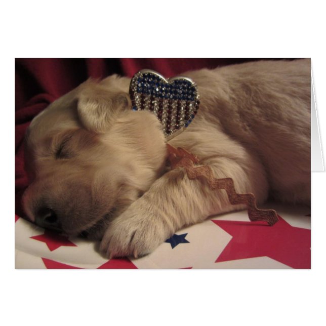 Patriotiska Lucy Hälsningskort (Framsidan Horizontal)