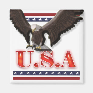 Patriotiska randar för USA örnstjärnor Magnet