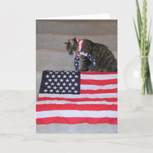 Patriotiskt kattkort kort
