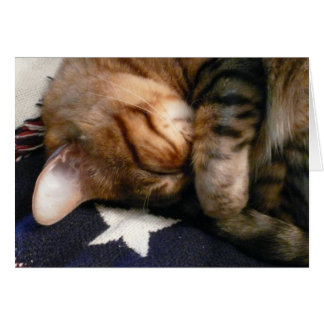 Patriotiskt ta sig en tupplur hälsningskort