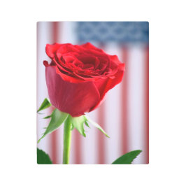 Patriotism Metall Wall Art