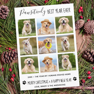 Påtsivt bästa året någonsin, Hund Pet Photo Collag Julkort