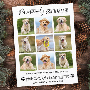 Påtsivt bästa året någonsin, Hund Pet Photo Collag Vykort