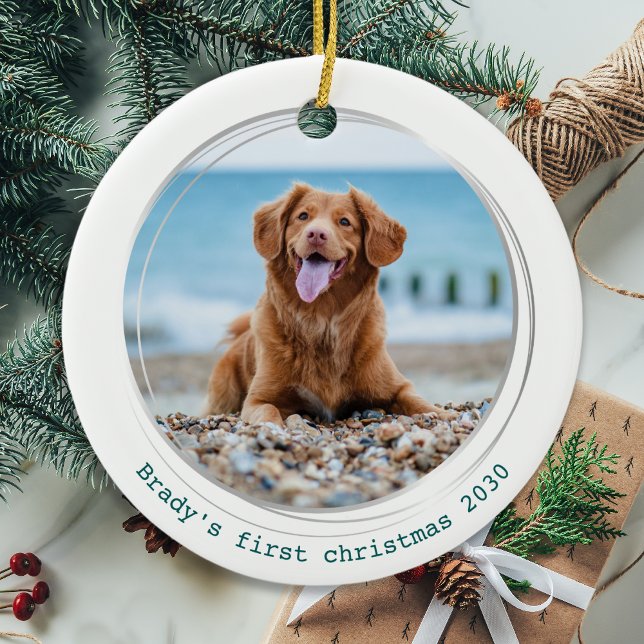 Påtsivt Covid Quarantine Grönt Hund Pet Photo Julgransprydnad Keramik (Skapare uppladdad)
