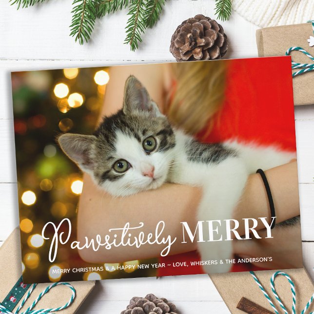 Påtsivt merry Anpassningsbar Pet Cat Photo jul Helg Vykort (Skapare uppladdad)