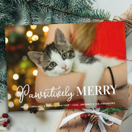 Påtsivt merry Anpassningsbar Pet Cat Photo jul Julkort