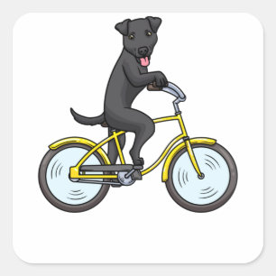 Patterdale Terrier Hund Fyrkantigt Klistermärke