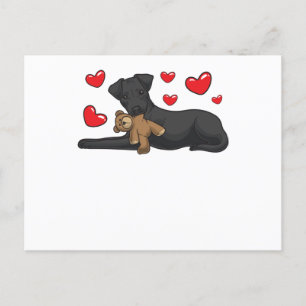 Patterdale Terrier-Hund med Mjukisdjur Vykort