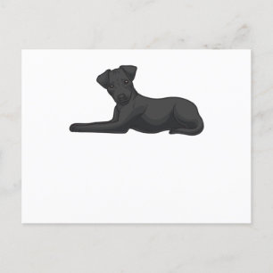 Patterdale Terrier Hund Vykort