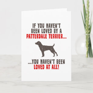 Patterdale Terrier Kort