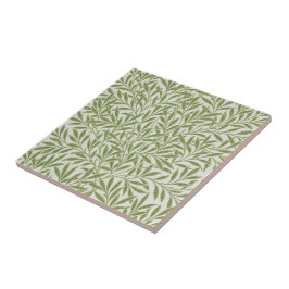 Pattern of green leafy branches  kakelplatta