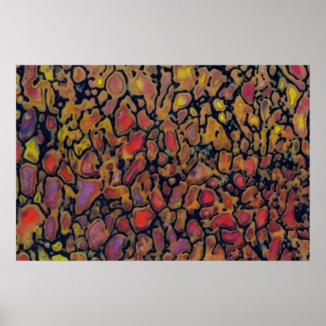 Patterned Dinosaur Bone Poster (Framsidan)