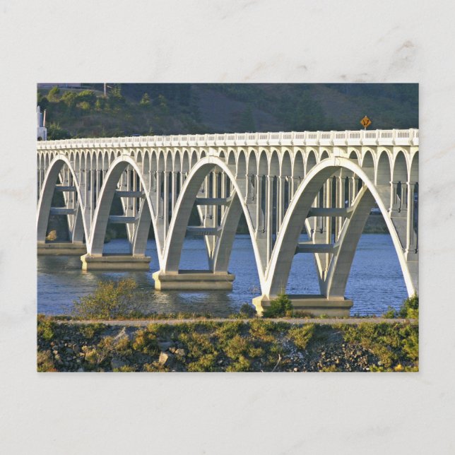 Patterson Memorial Bridge motorväg 101 över Vykort (Framsida)