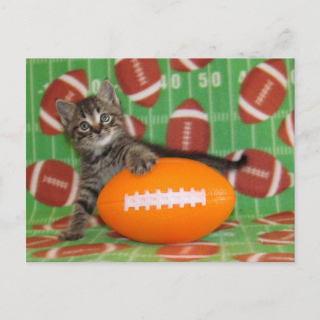 Patton Plays Football - Cat Postcard Vykort (Framsida)