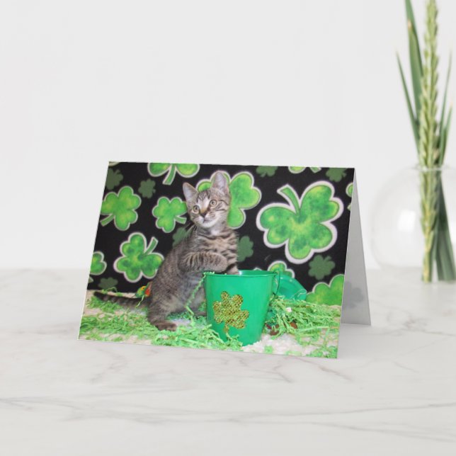 Patton the St. Patrick's Day Cat Greeting Card Kort (Framsida)