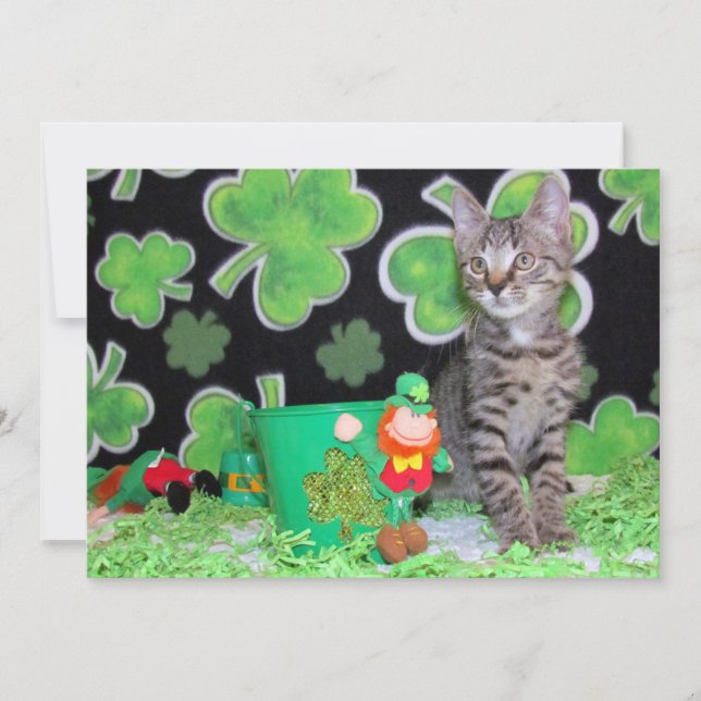 Patton's St. Patrick's Day Cat/ Kitten-Flat Card Julkort (Framsida)