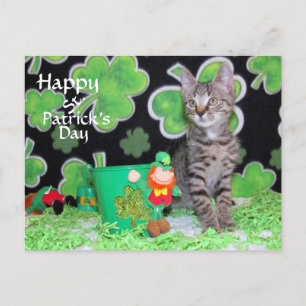 Pattons vykort för St. Patrick-Day - Kat / Kitten