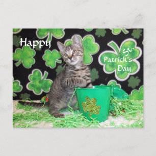 Pattons vykort för St. Patrick-Day - Kat / Kitten