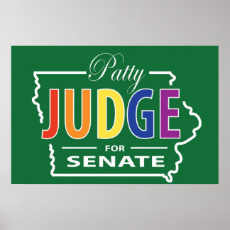 Patty domare for Senate v4 Poster