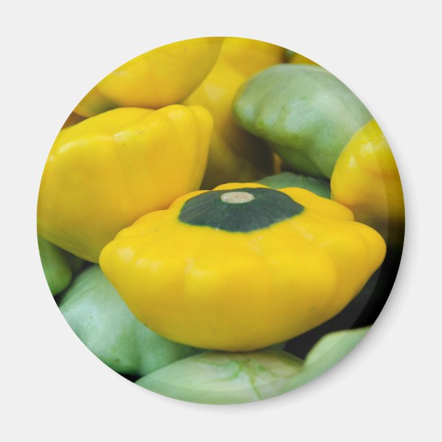 Pattypan Squash Magnet (Framsidan)