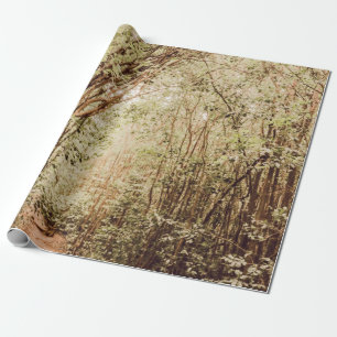 PATWAY KÖRD MED TALL OCH GRÖNT TRÄD PRESENTPAPPER