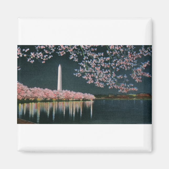 PAU42 Washington i natt.tif Magnet (Framsidan)