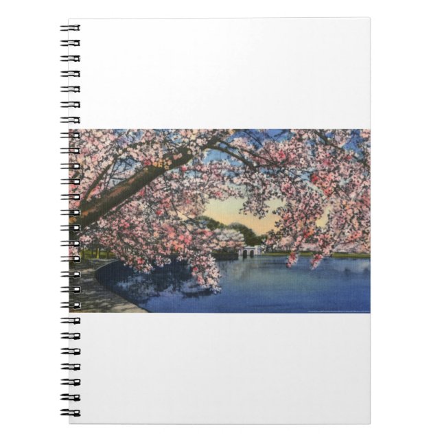 PAU43 tidvattens- Basin.tif Anteckningsbok (Framsidan)