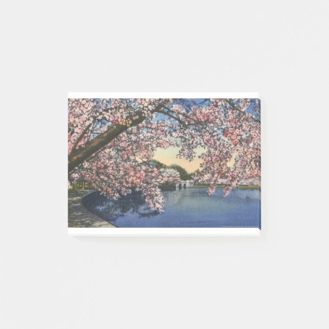 PAU43 tidvattens- Basin.tif Post-it Block (Framsida)