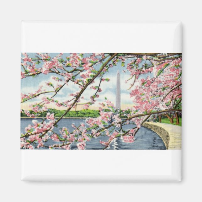 PAU45 Washington Monument 2.tif Magnet (Framsidan)