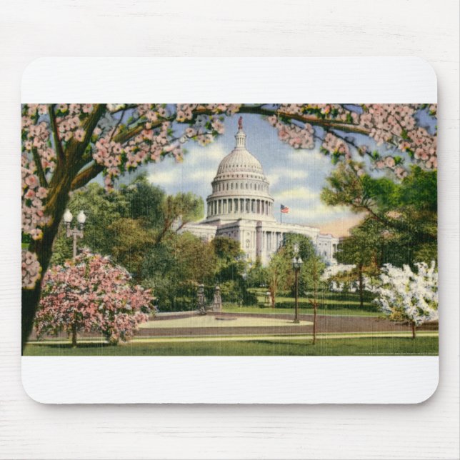 PAU46 US Capitol.tif Musmatta (Framsidan)