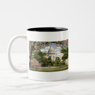 PAU46 US Capitol.tif Två-Tonad Mugg