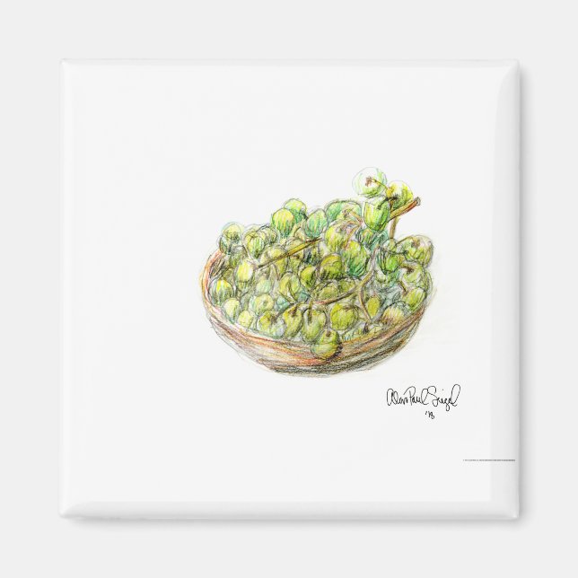 PAU55 Fruit 2.tif Magnet (Framsidan)