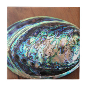 Paua abalone blue and grönt shellfish-detalj kakelplatta