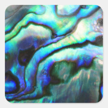 Paua abalone-detaljer