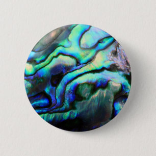 Paua abalone-detaljer knapp