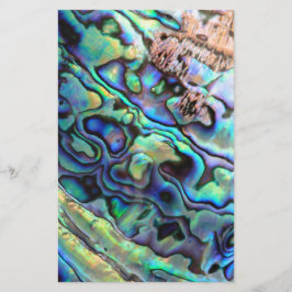 Paua abalone-snäcka