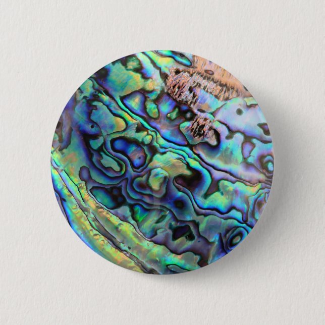 Paua abalone-snäcka knapp (Framsida)