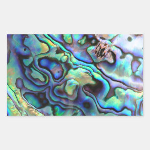 Paua abalone-snäcka rektangulärt klistermärke