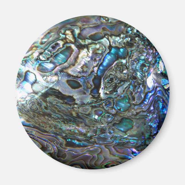 PAUA DESIGN MAGNET (Framsidan)