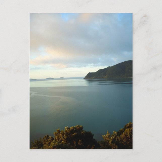 Pauanui Bay Coromandel New Zealand Postcards Vykort (Framsida)