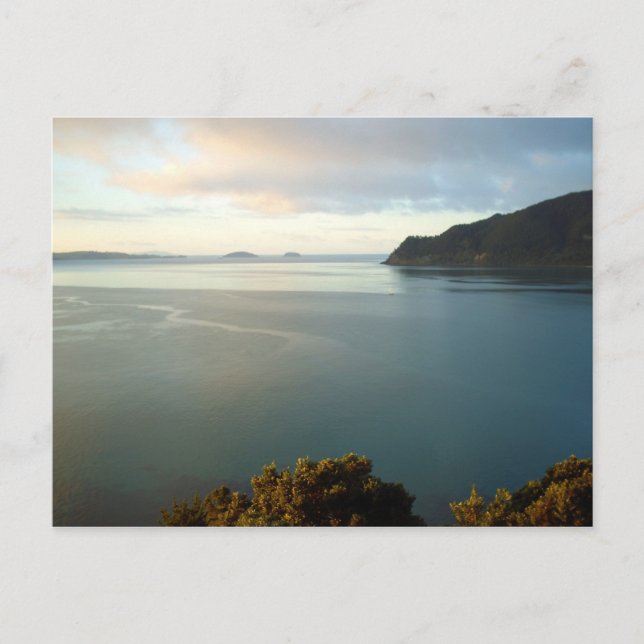 Pauanui Beach Bay Nya Zeeland Postkort Vykort (Framsida)