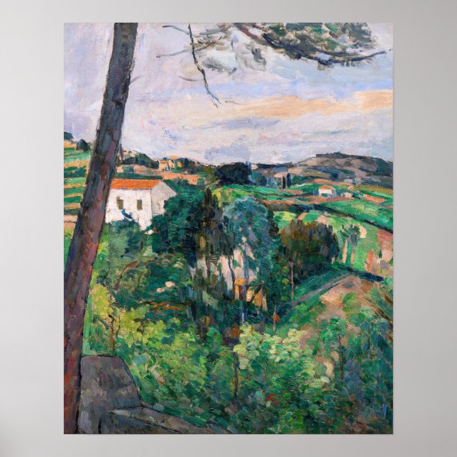 Paul Cezanne - Tallgran vid L'Estaque Poster (Framsidan)
